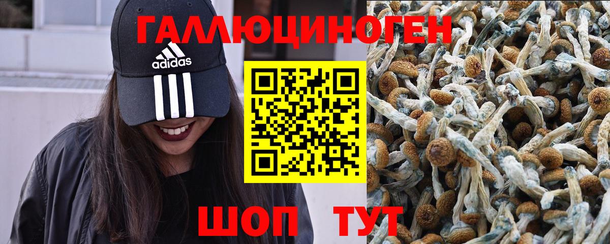 Еманжелинск  Галлюциногенные грибы прущие грибы  Галлюциногенные грибы MAGIC MUSHROOMS  Вход с VPN 